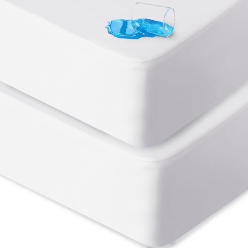 Biloban 2 Pack Queen Mattress Protector Waterproof Noiseless Soft