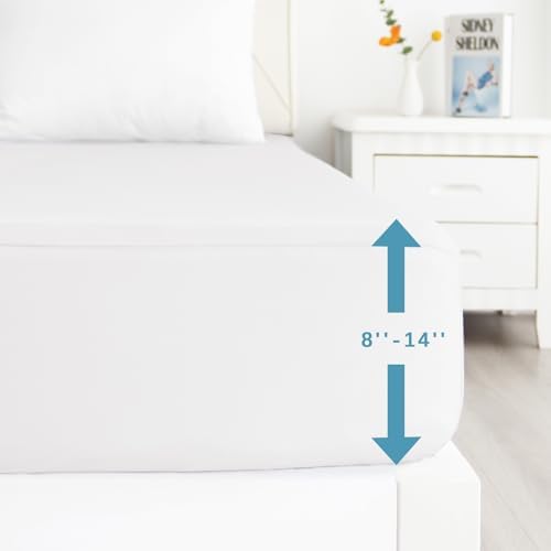 Biloban 2 Pack Queen Mattress Protector Waterproof Noiseless Soft