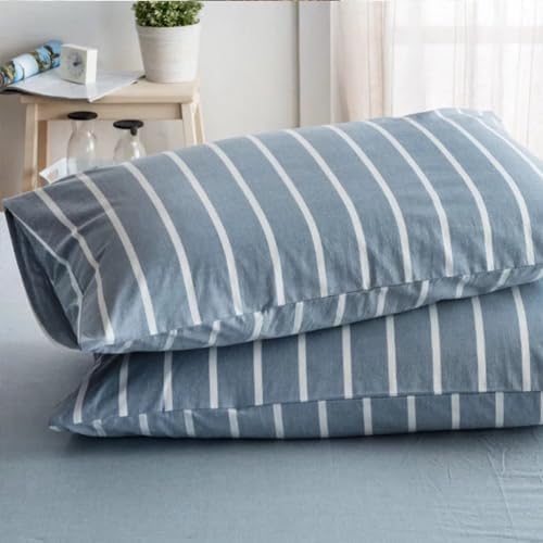 NSNLGSGC Twin Striped Duvet Cover Set Light Blue 1