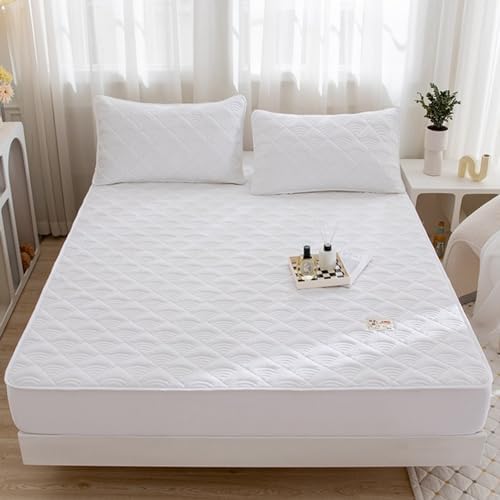 LDLCYCN Queen Size Mattress Protector