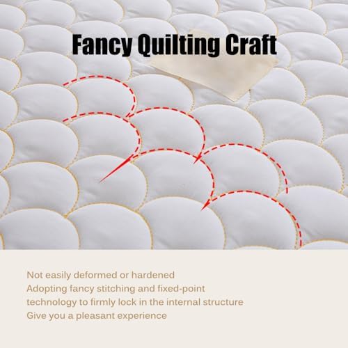 Raw Cotton Mattress Protector Pad with Quilted Design
