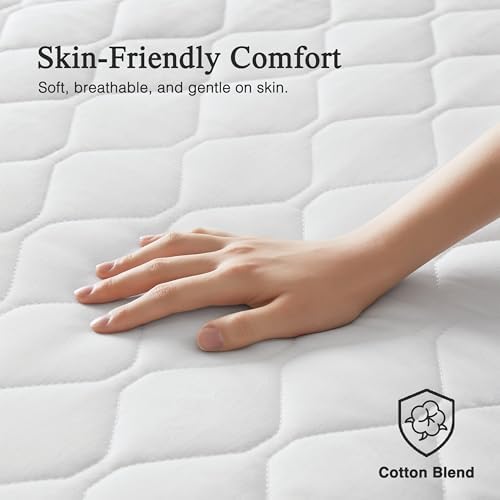 Beautyrest Heated Mattress Pad with 5 Heat Settings and Dual Comfort
