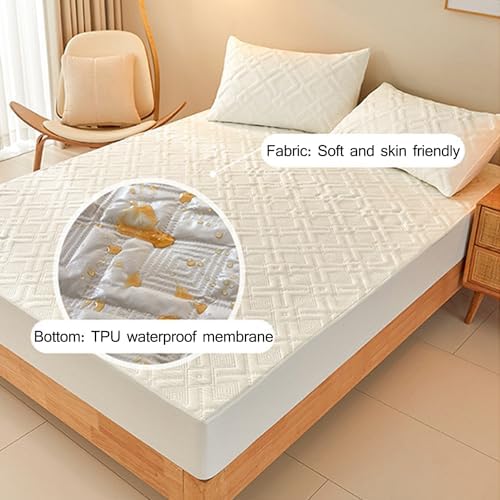 Waterproof Queen Mattress Protector with 360 Elastic Bands