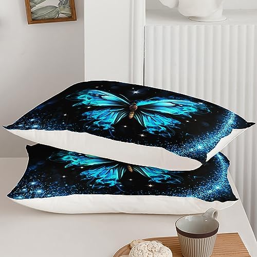 AILONEN Butterfly Duvet Cover Set Queen Size Sparkly Blue 1