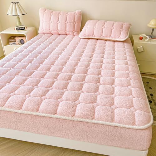 LDLCYCN Warm Velvet Mattress Cover Queen Size