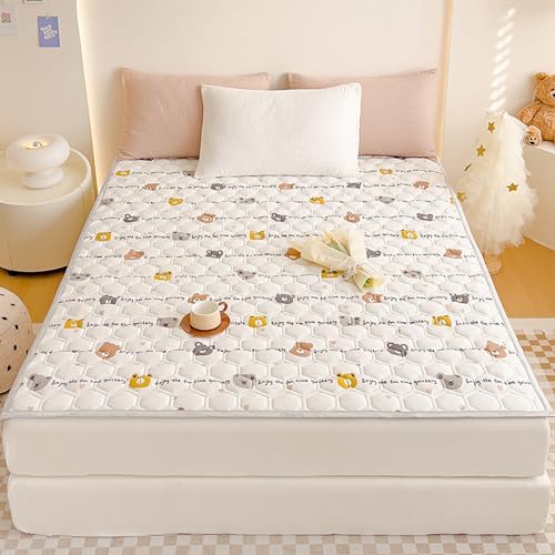 LDLCYCN Queen Mattress Cover with 4 Corner Straps