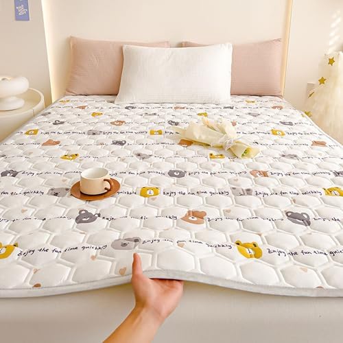 LDLCYCN Queen Mattress Cover with 4 Corner Straps