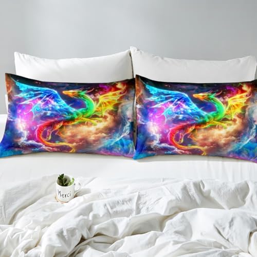 Feelyou Dragon Bedding Set Twin Size 3D Print Duvet Cover