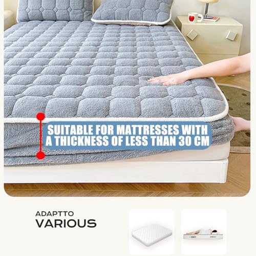 LDLCYCN Warm Mattress Cover Queen Size with Elastic Band