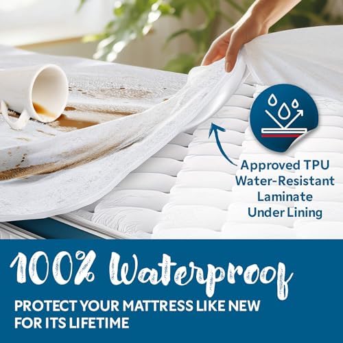 Guardmax Terry Cotton Queen Mattress Encasement - Waterproof Bed Bug Proof 1