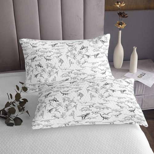 Feelyou Dinosaur Duvet Cover Set Twin Size 3D Print Bedding