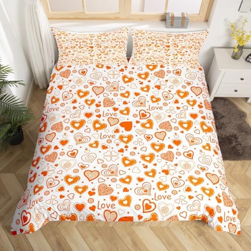 Feelyou Valentines Day Duvet Cover Set Cute Heart Design 3Pcs 1